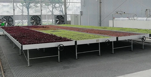 rolling greenhouse grow table bench rolling greenhouse grow table bench